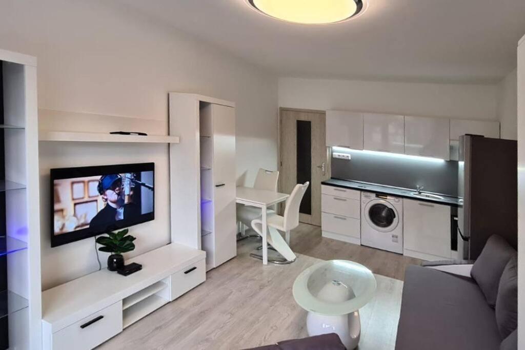 Utulny Apartman V Centru, S Krasnym Vyhledem Decin Exterior foto